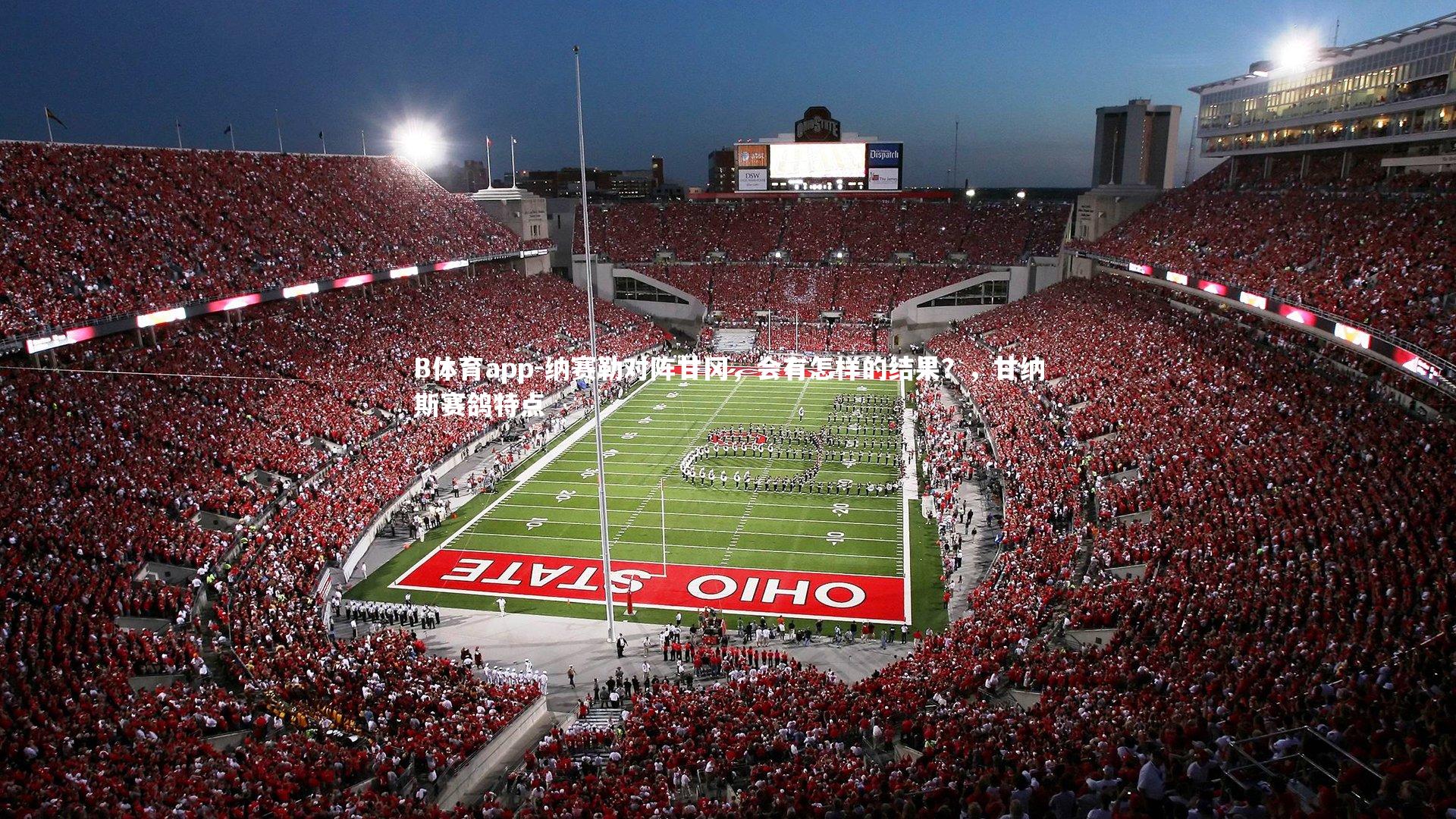 纳赛勒对阵甘冈，会有怎样的结果？，甘纳斯赛鸽特点